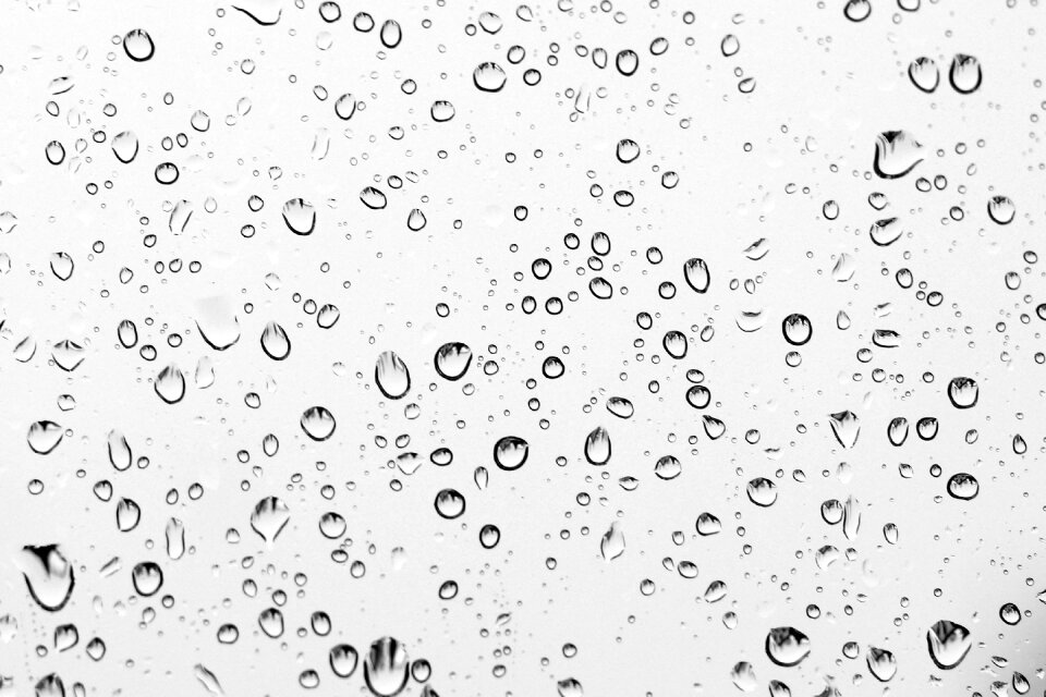 Wet droplets nature photo