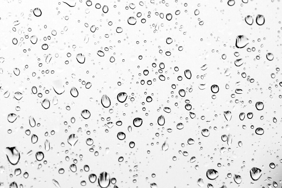 Wet droplets nature