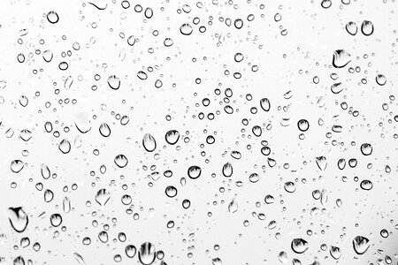 Wet droplets nature photo