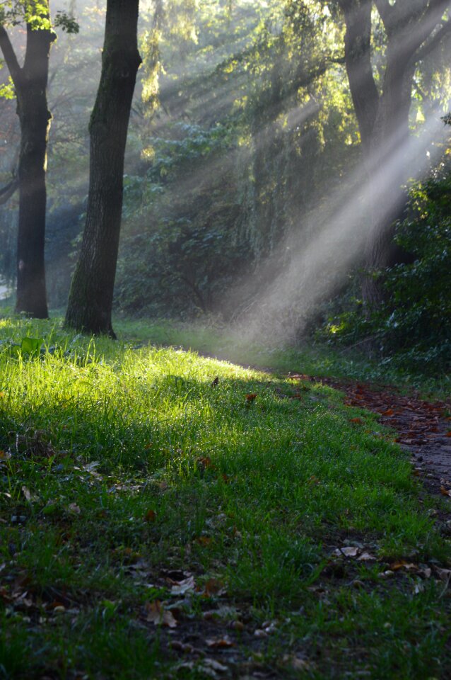 Light nature landscape
