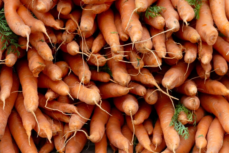 Food agriculture agricultural