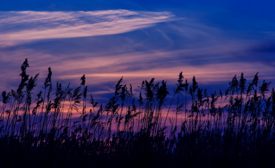 Nature silhouette sky