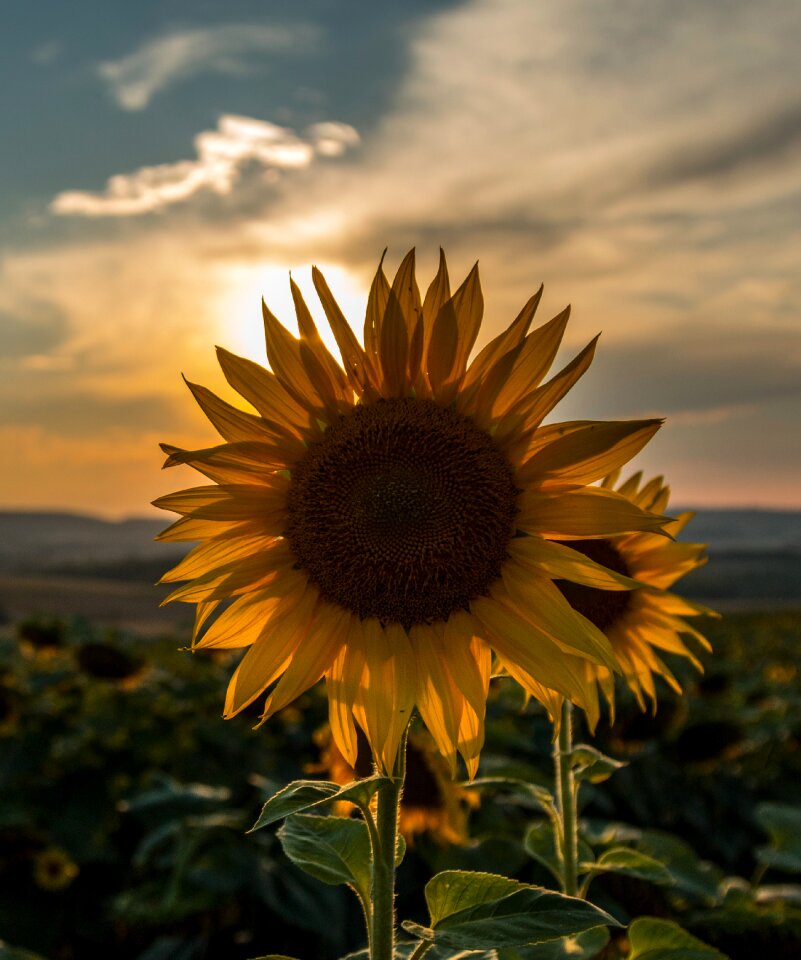 Nature sky landscape