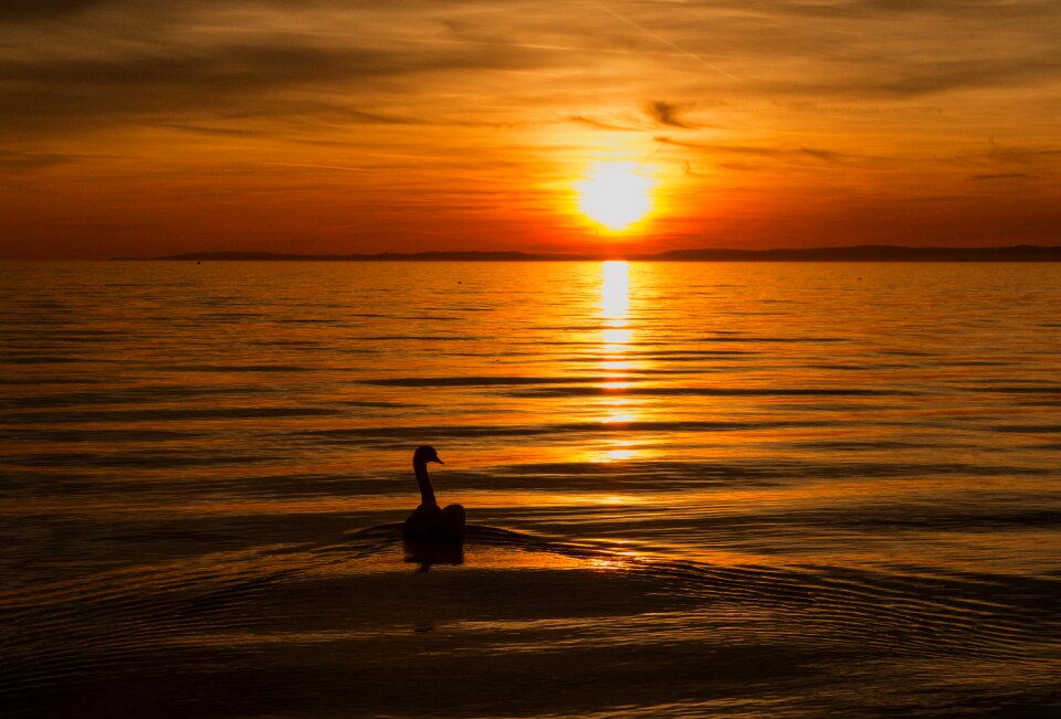 Sunset golden gold