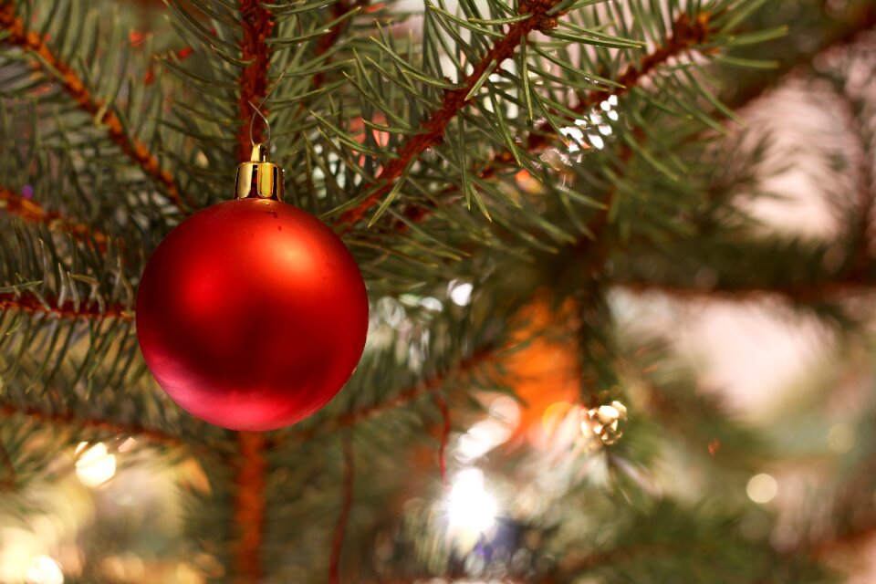 Holidays red winter