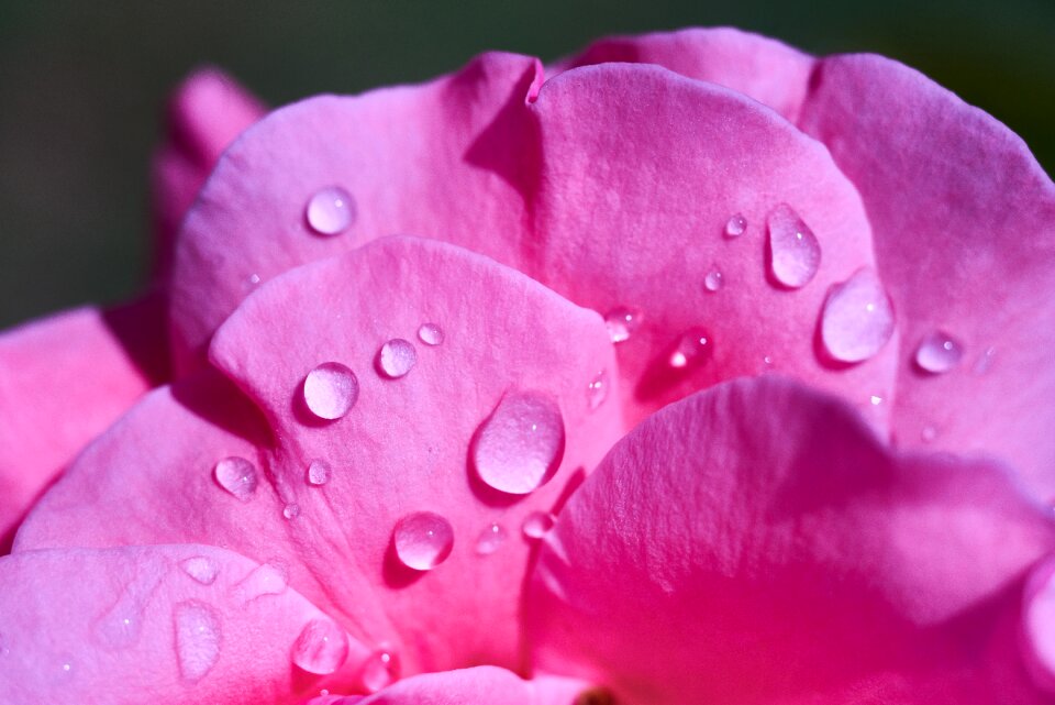 Romantic romance nature