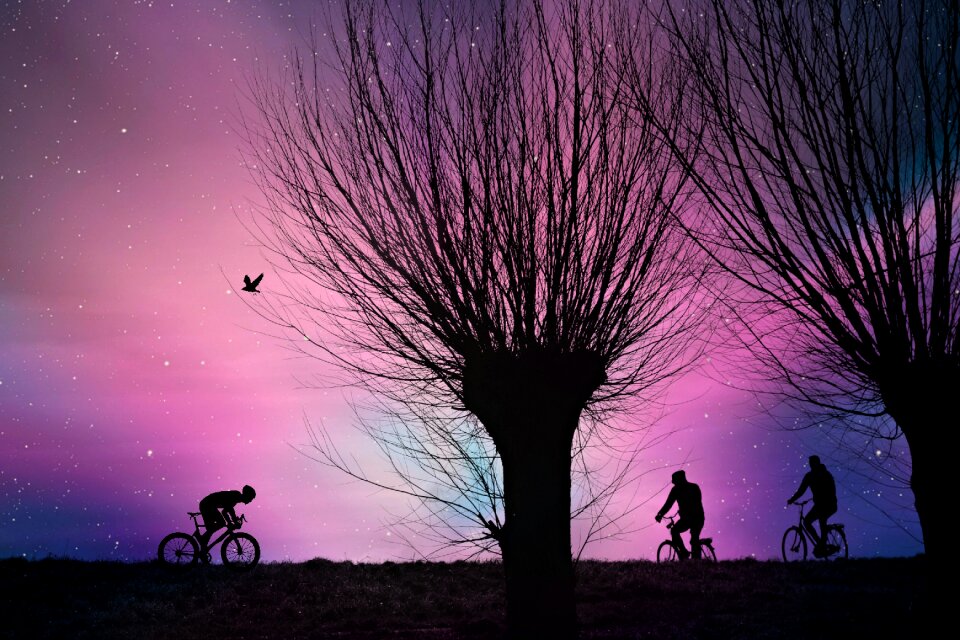 Bicycle ride dawn silhouette