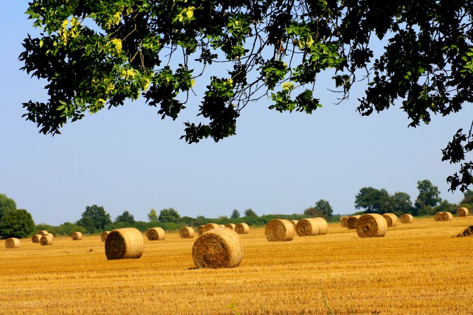 Landscape harvest agriculture