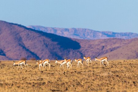 Desert namibia mountains