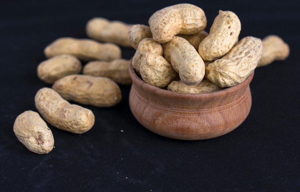 Fruit nutrition nutlet