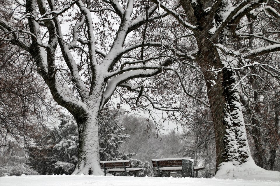 Mood black and white park
