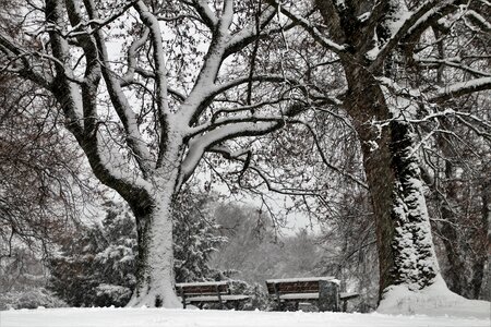 Mood black and white park