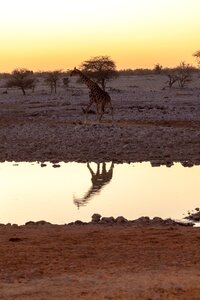 Sunset mirroring africa