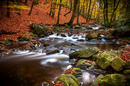 Water courses streams fall photo
