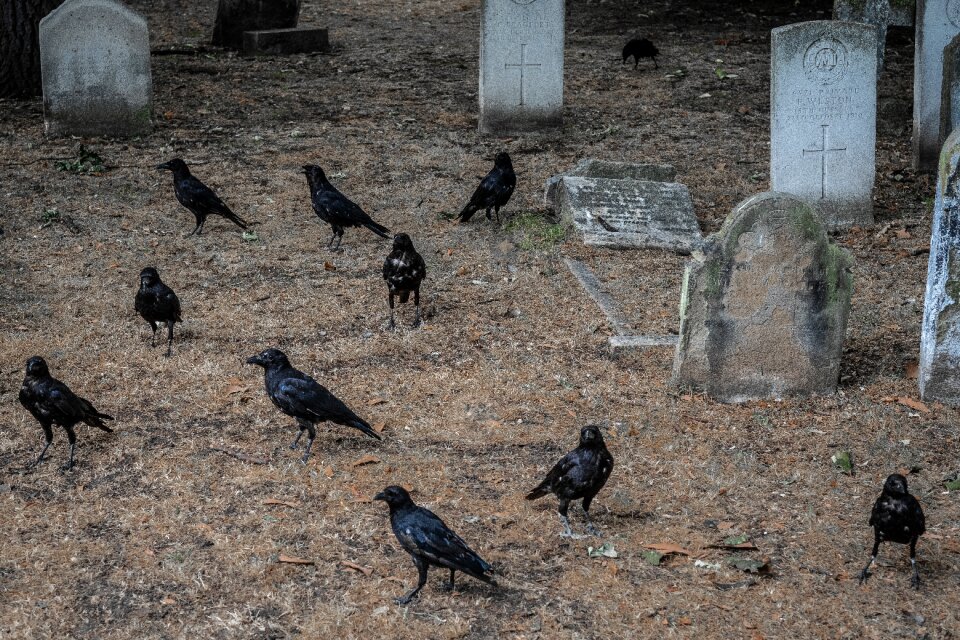 Tombstone grave england