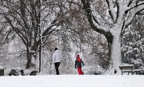 Snow spacer park photo