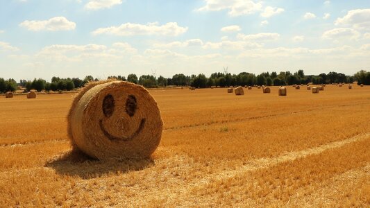 Harvest summer happy