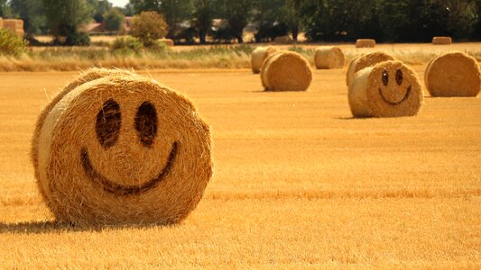 Harvest summer happy
