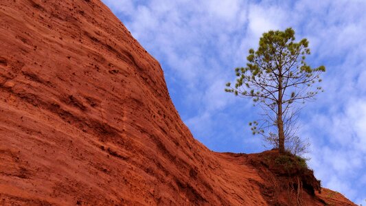 Tree landscape ochre rock photo
