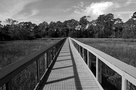 Walkway florida wetland sky