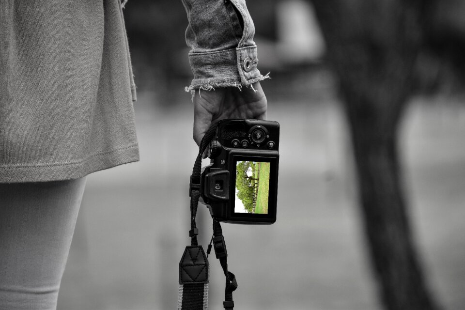 Foreground photo classic