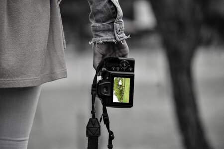Foreground photo classic
