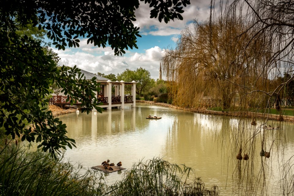 Perspective waterfowl romantic