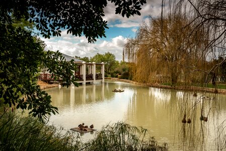 Perspective waterfowl romantic