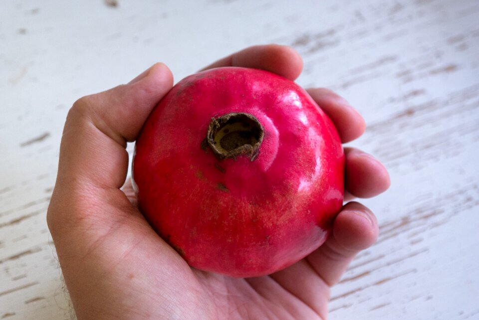 Fruit fresh food