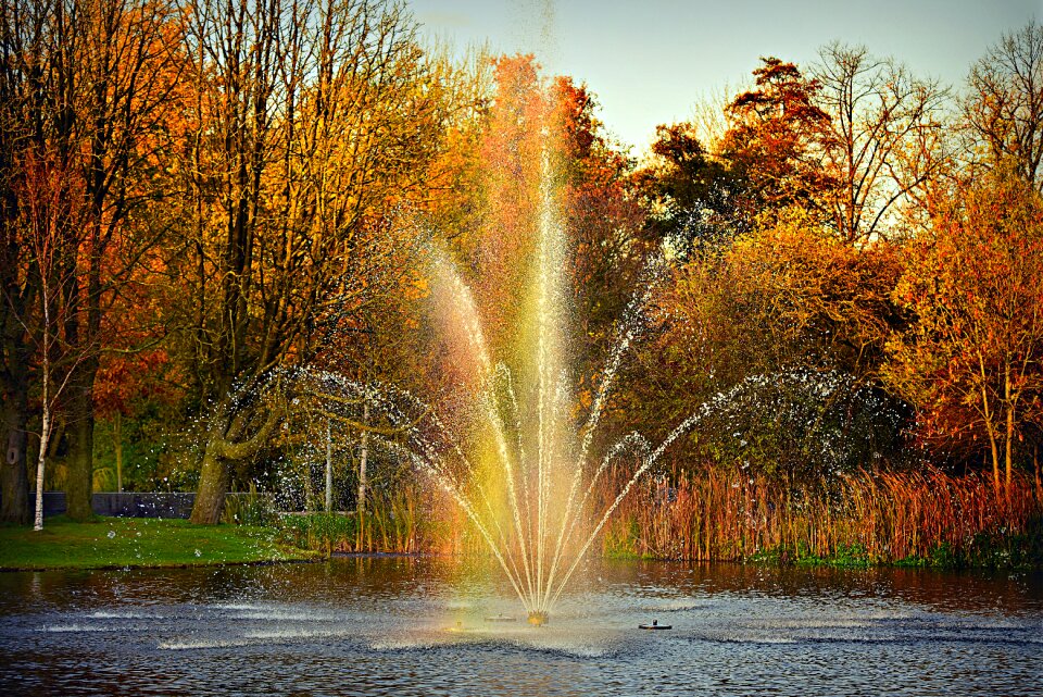 Drops spouting pond