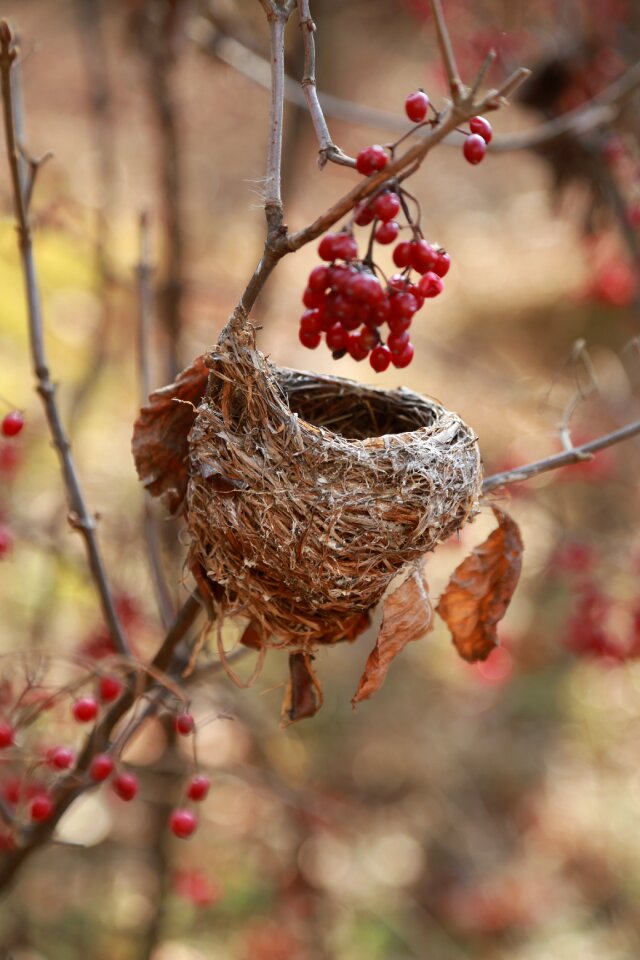 Empty nest home now
