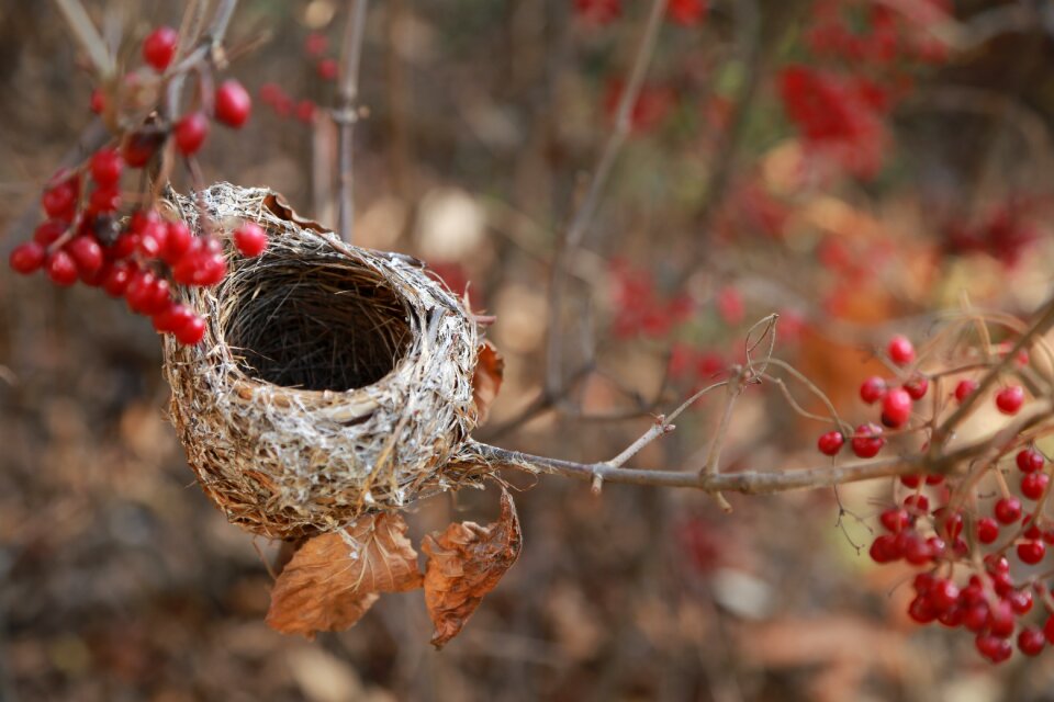 Empty nest home now