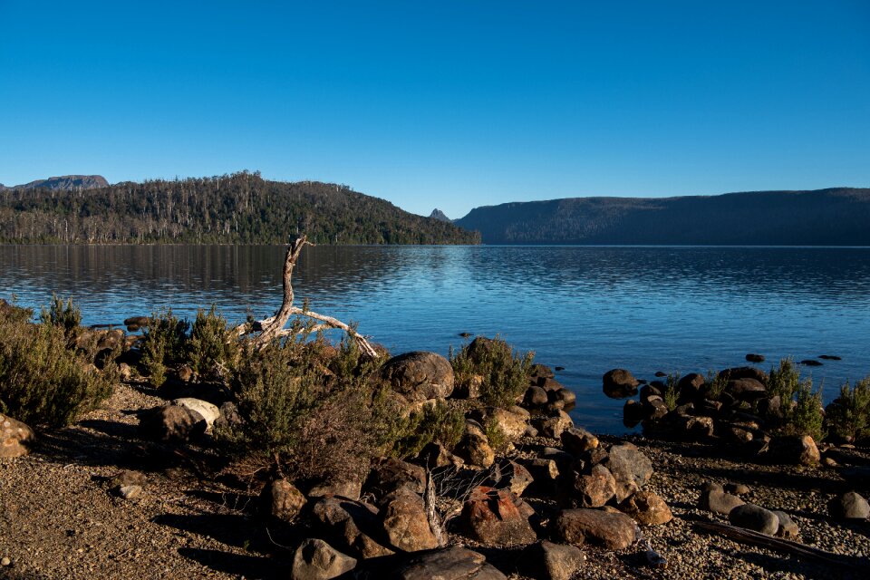 Tasmania nature landscape