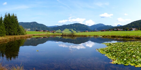 Bavaria lake water lilies photo