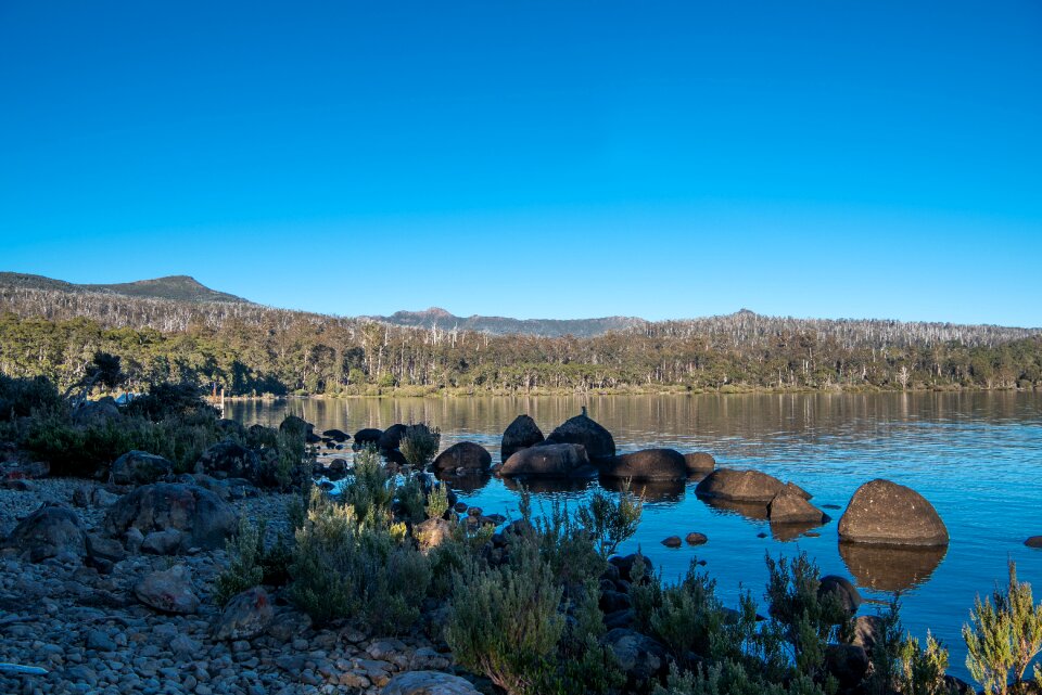 Tasmania nature landscape