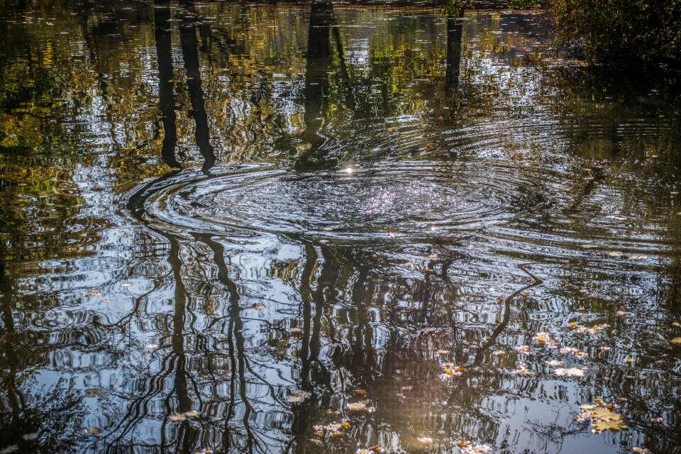 Water reflection pond