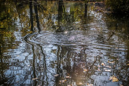 Water reflection pond