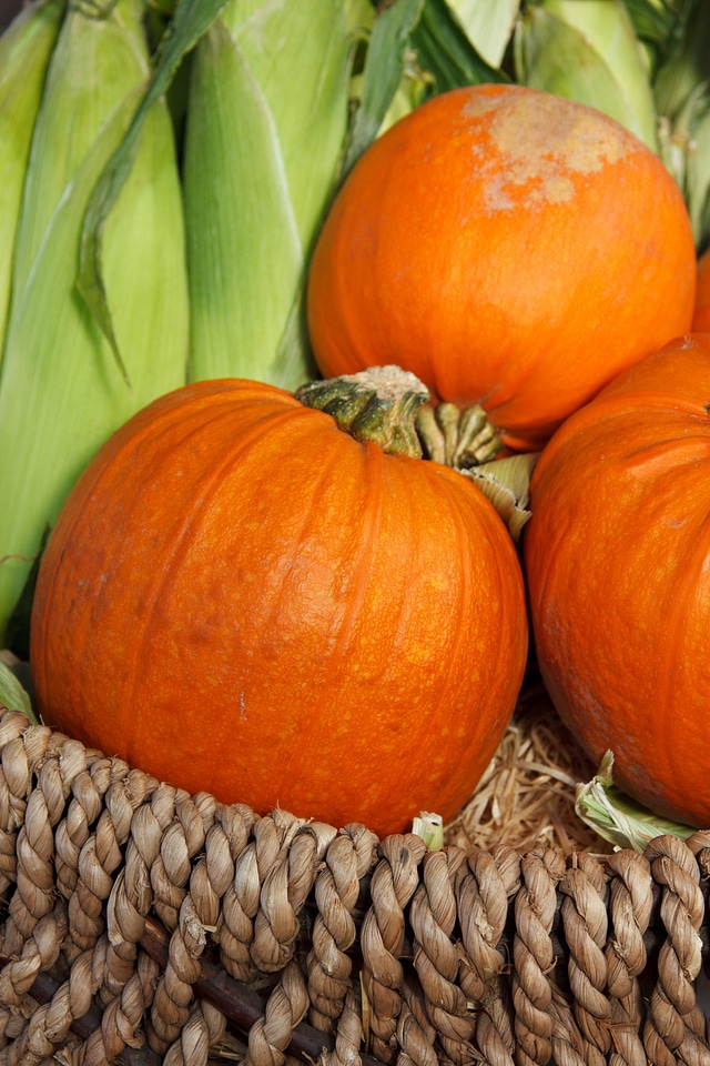 Autumn basket colorful