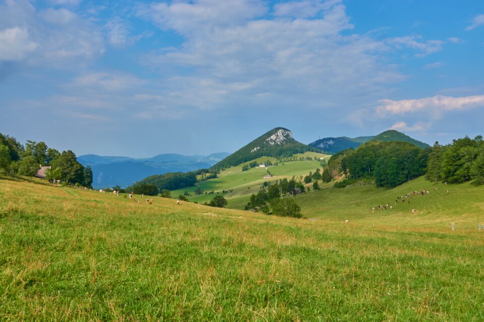 Sky highlands meadow
