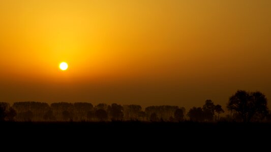 Morning outdoors nature