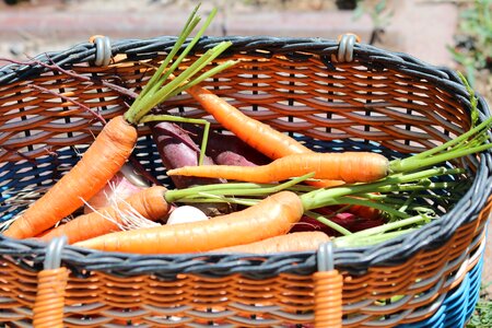 Vegetables nutrition orange