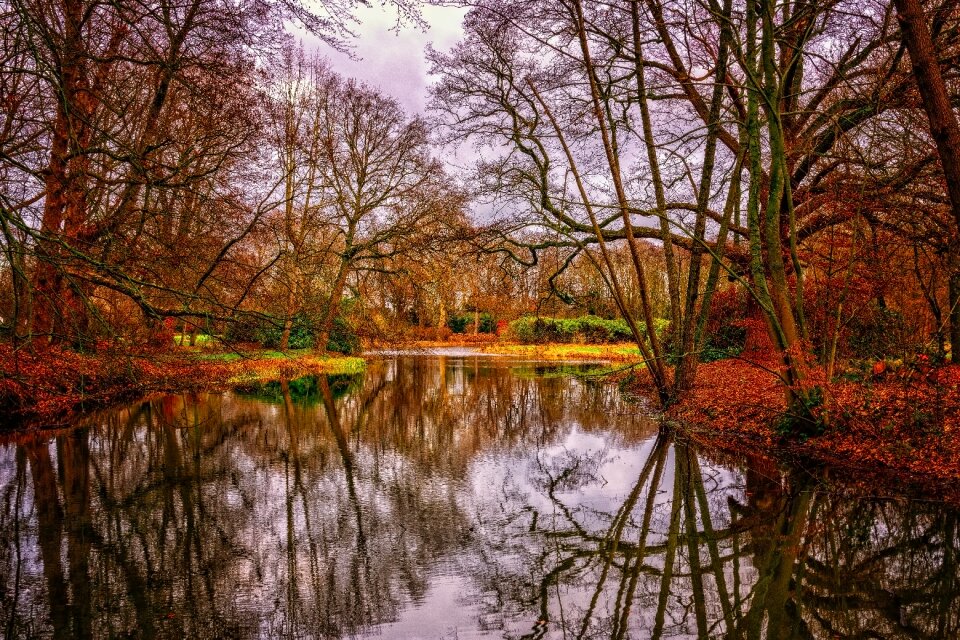 Landscape autumn mirroring