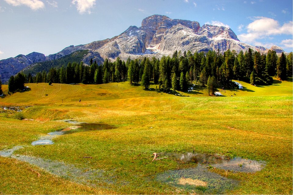 Nature rubble field karg