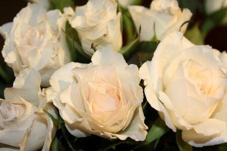 White wedding bouquet photo