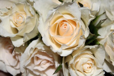 White wedding flowers