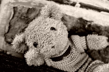Soft toy cute teddy bear photo