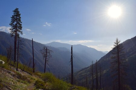 Wood landscape forest photo