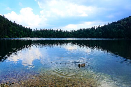 Mountain germany fun