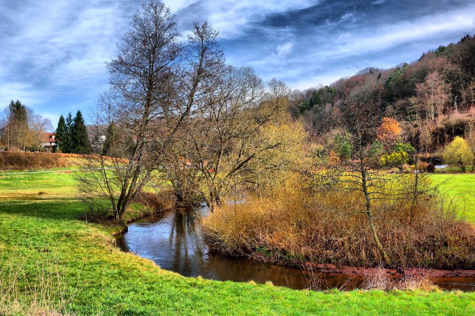 Landscape scenic forest