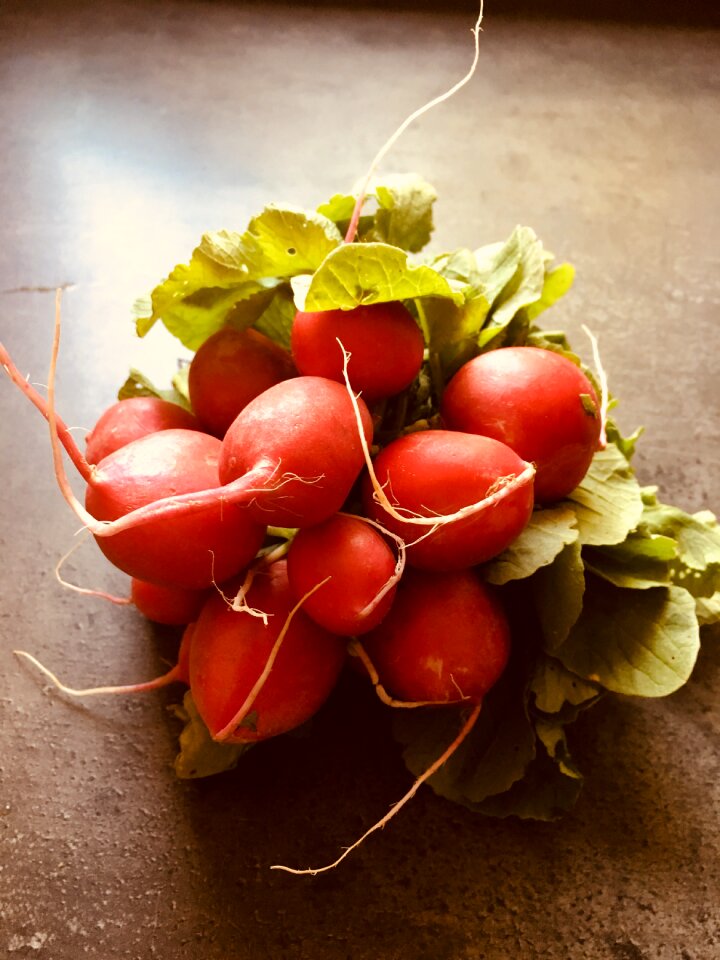 Garden fresh organic